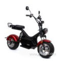 Double Seat Electric Citycoco Bike